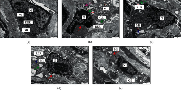 Figure 4