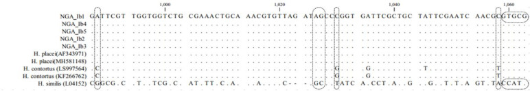 Fig. 4: