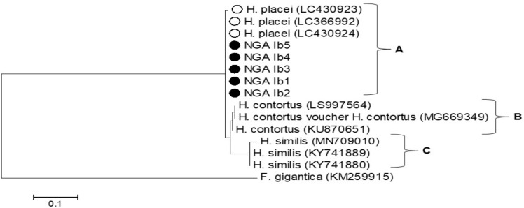 Fig. 5: