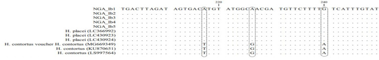 Fig. 3: