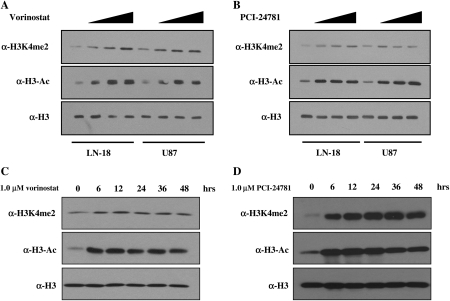 Fig. 1.