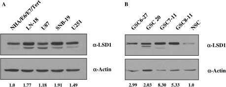 Fig. 2.