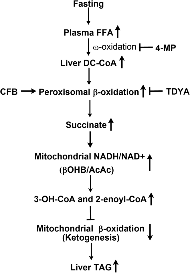 Figure 9