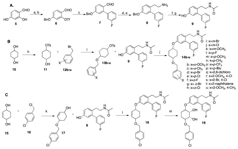 Scheme 1