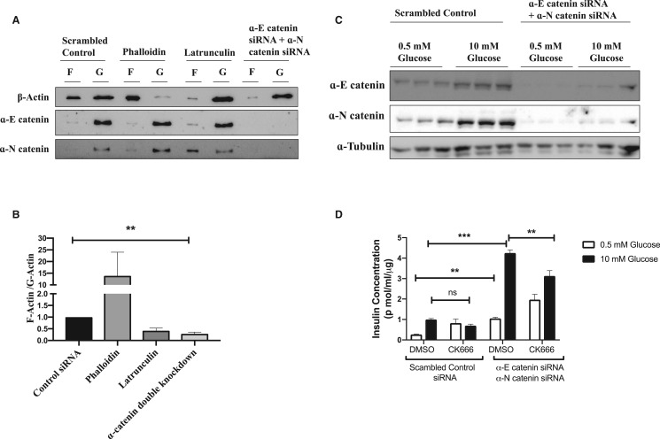 Figure 6.