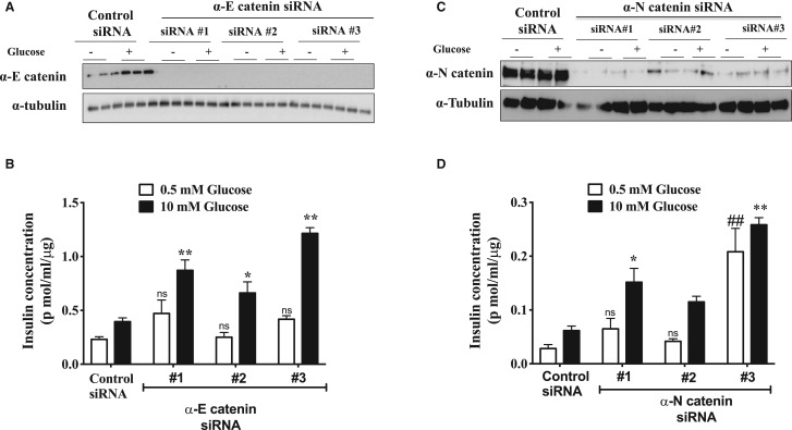 Figure 3.