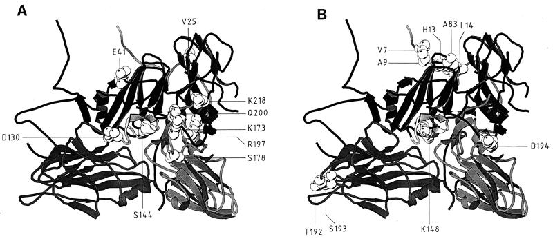 FIG. 5