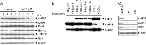 FIG. 7.