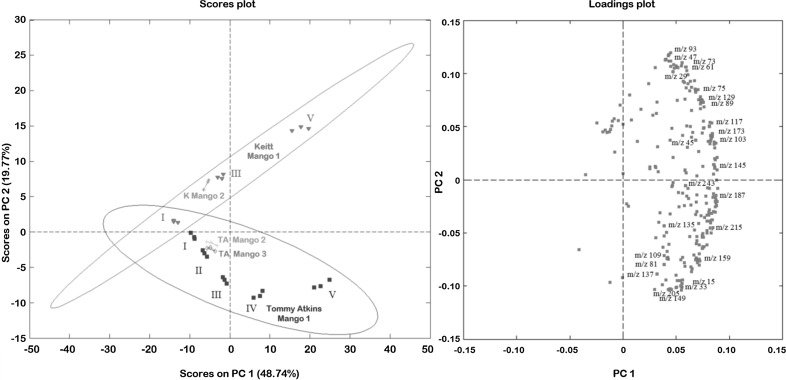 Fig. 2