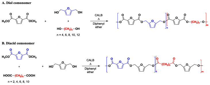 Scheme 3
