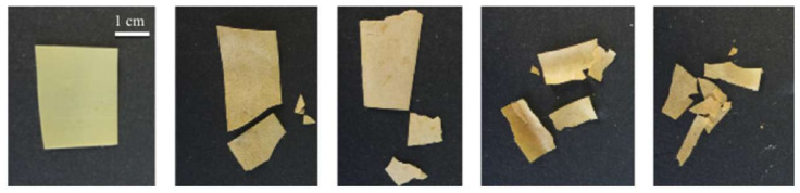 Figure 24