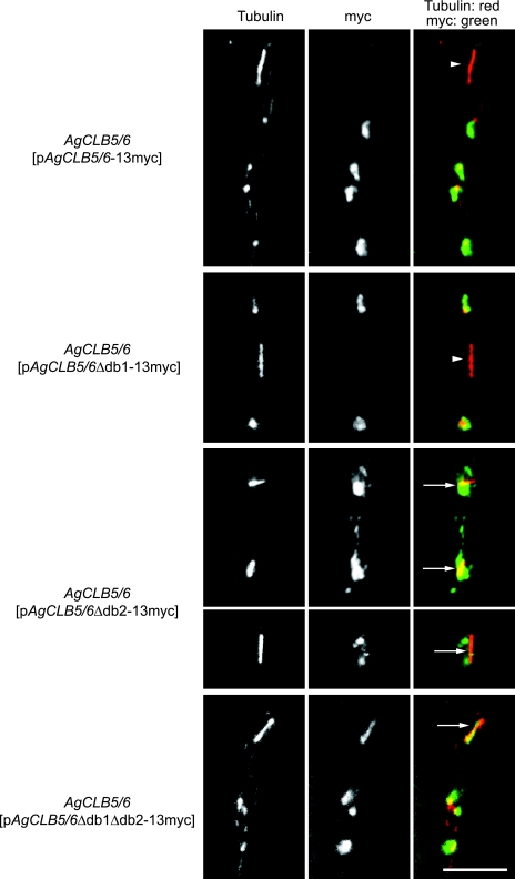 FIG. 7.