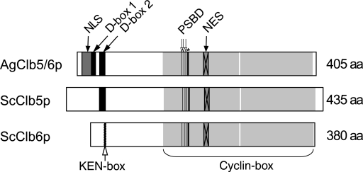 FIG. 3.