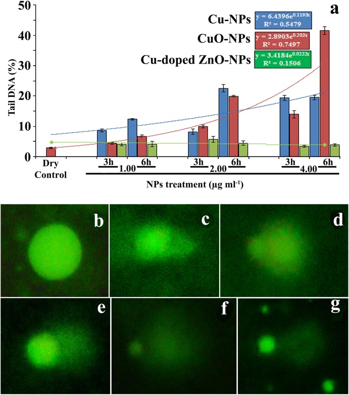 Fig 13