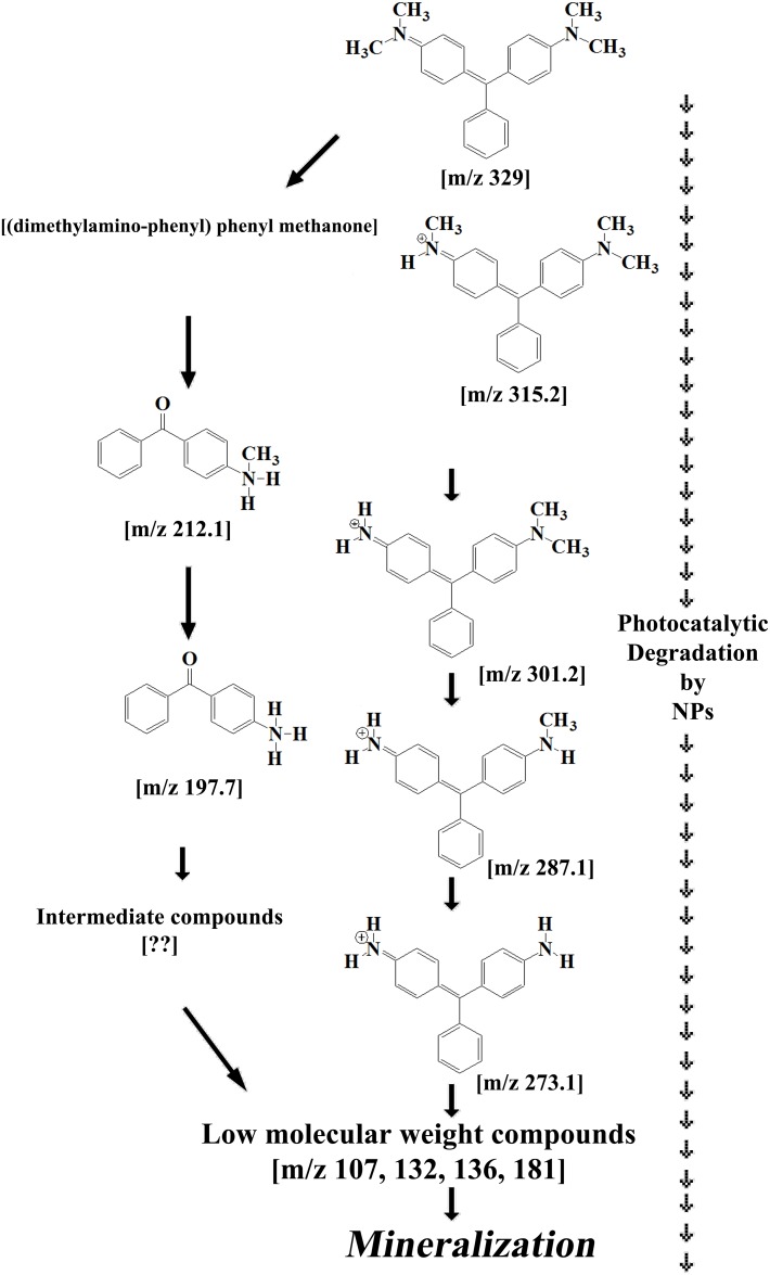 Fig 9