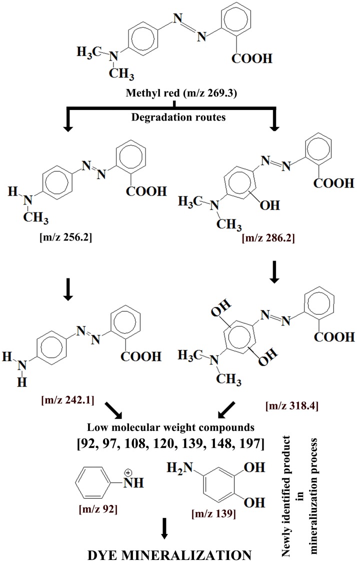 Fig 7