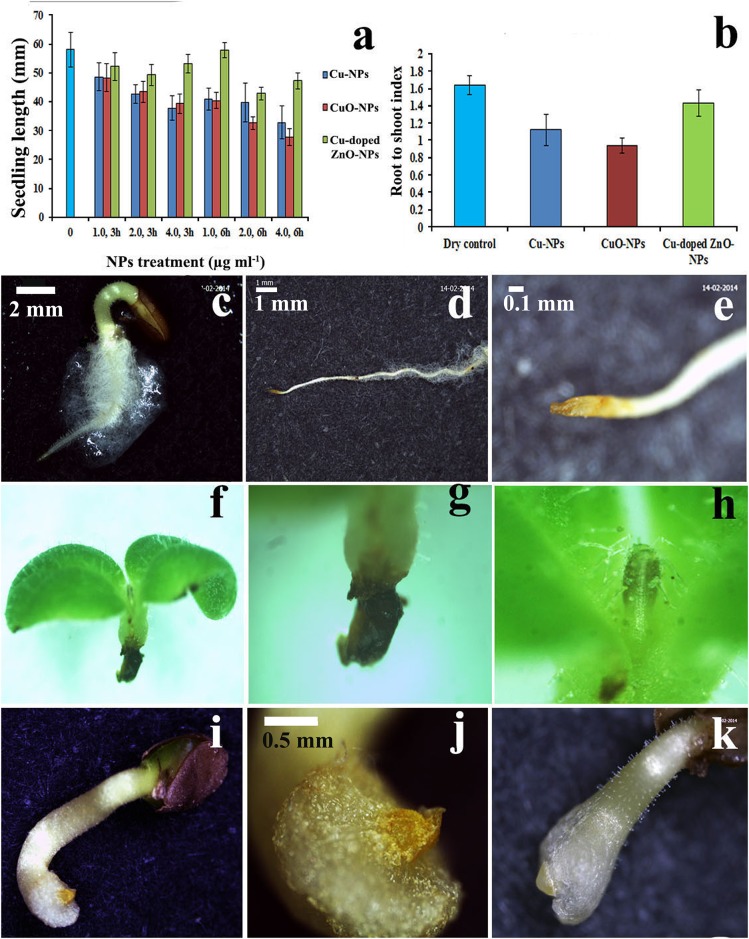 Fig 10