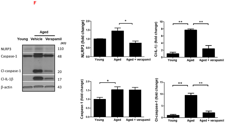 Figure 4: