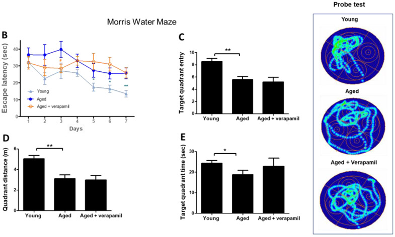 Figure 5: