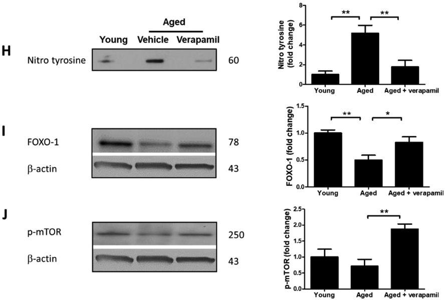 Figure 4: