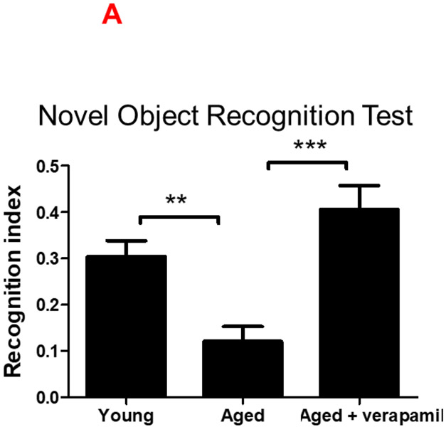 Figure 5: