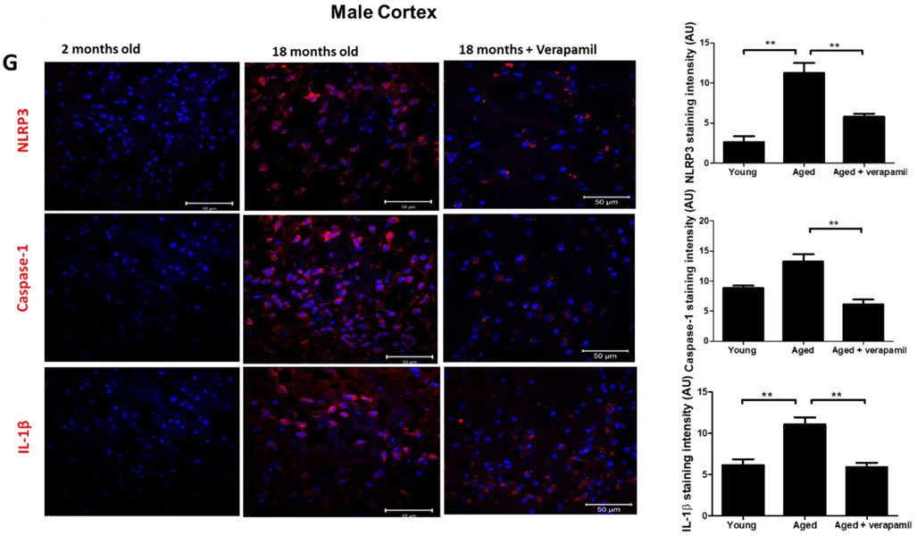 Figure 4: