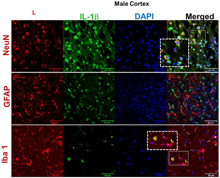 Figure 2: