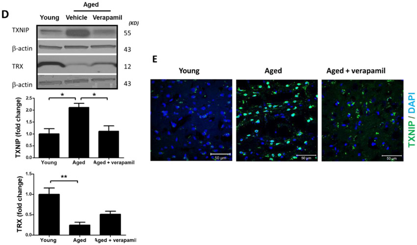 Figure 4: