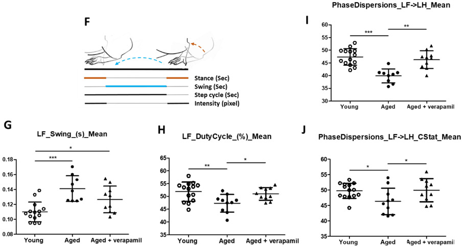 Figure 5: