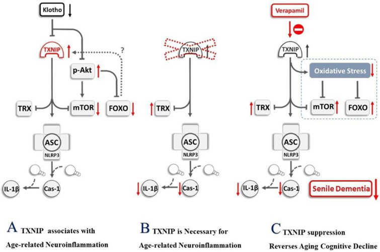 Figure 6: