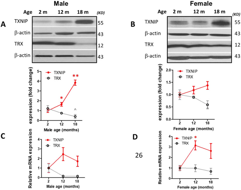 Figure 1: