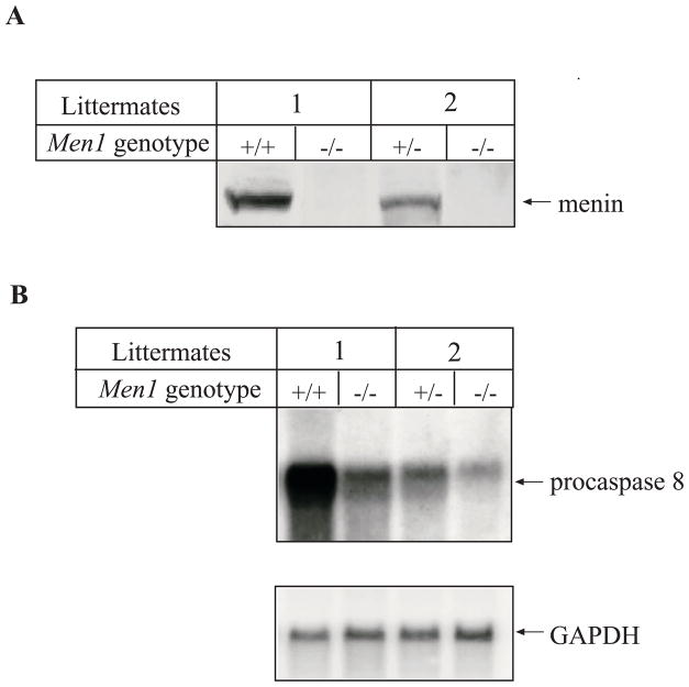 FIG. 5
