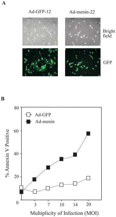 FIG. 1