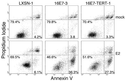 FIG. 11.