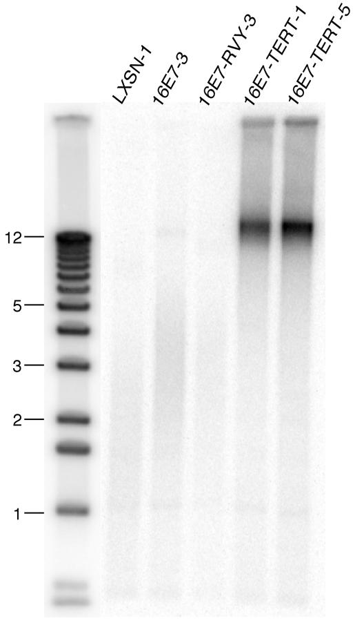 FIG. 7.