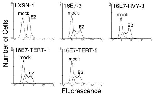 FIG. 9.