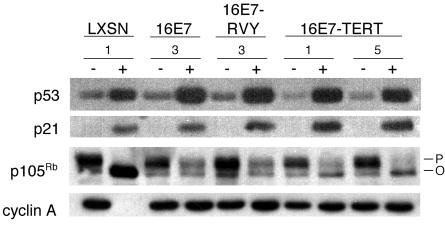 FIG. 8.