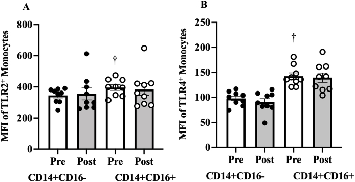 Fig. 4