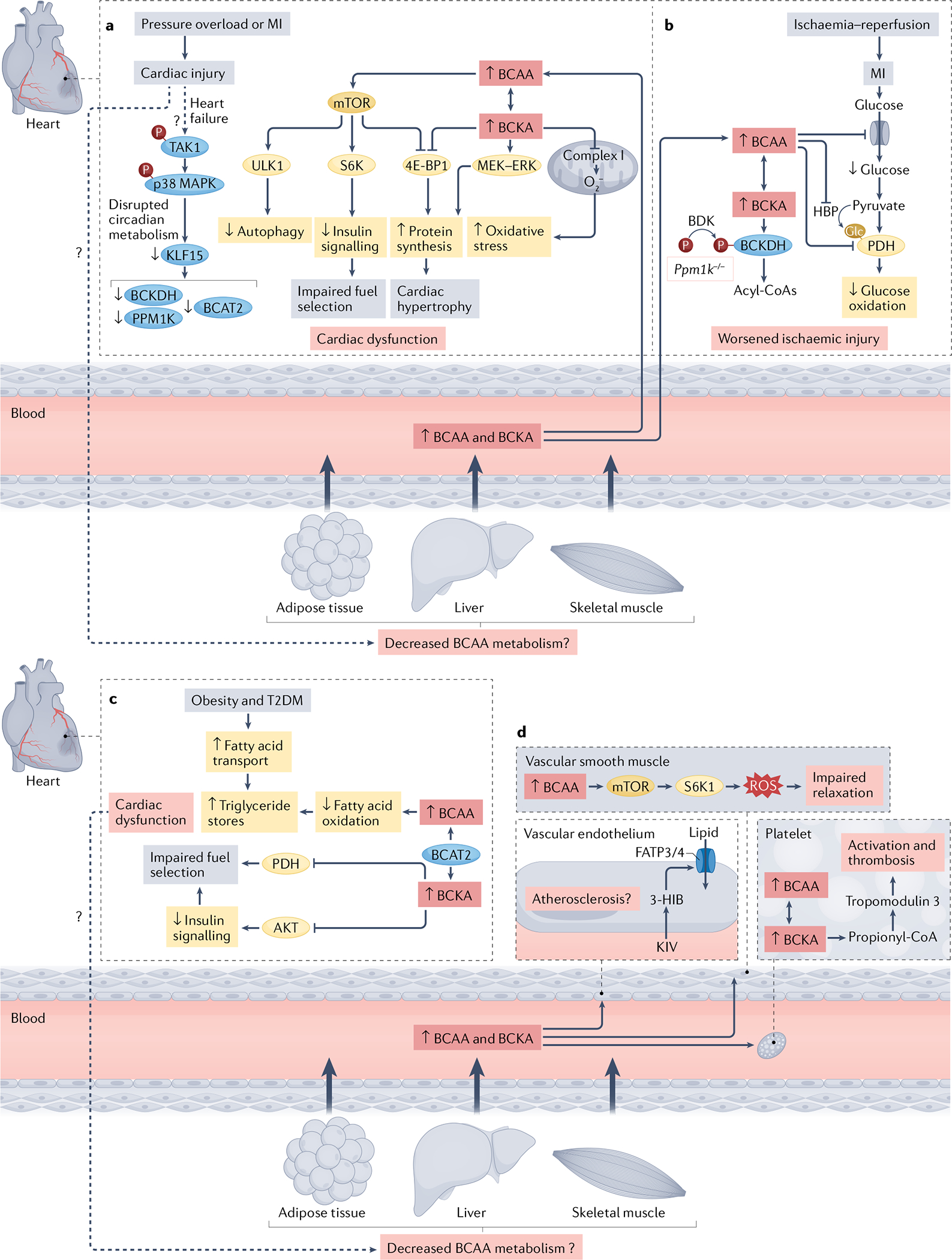 Fig. 2 |