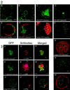 FIG. 2-3