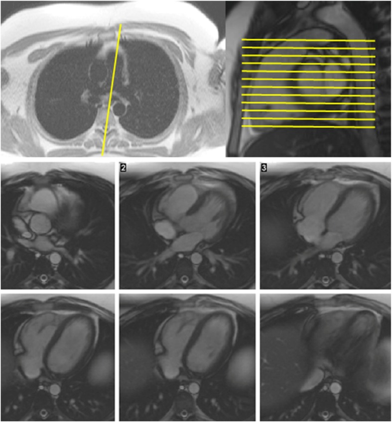 Fig. 4