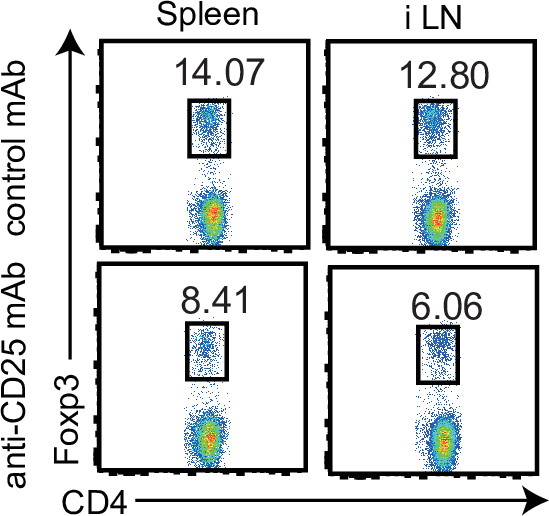 Figure 2—figure supplement 2.