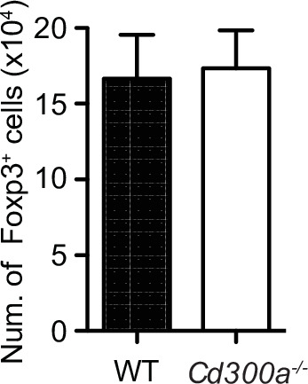 Figure 4—figure supplement 1.