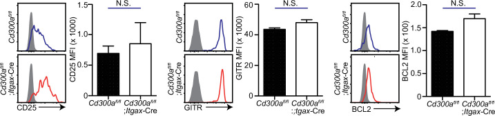 Figure 2—figure supplement 1.