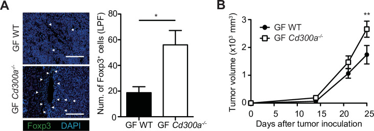 Figure 3—figure supplement 1.