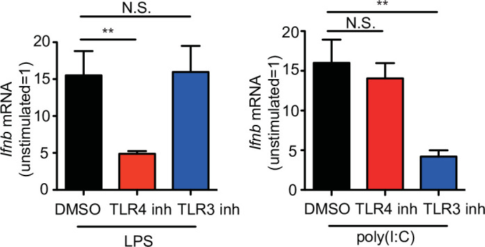 Figure 5—figure supplement 2.