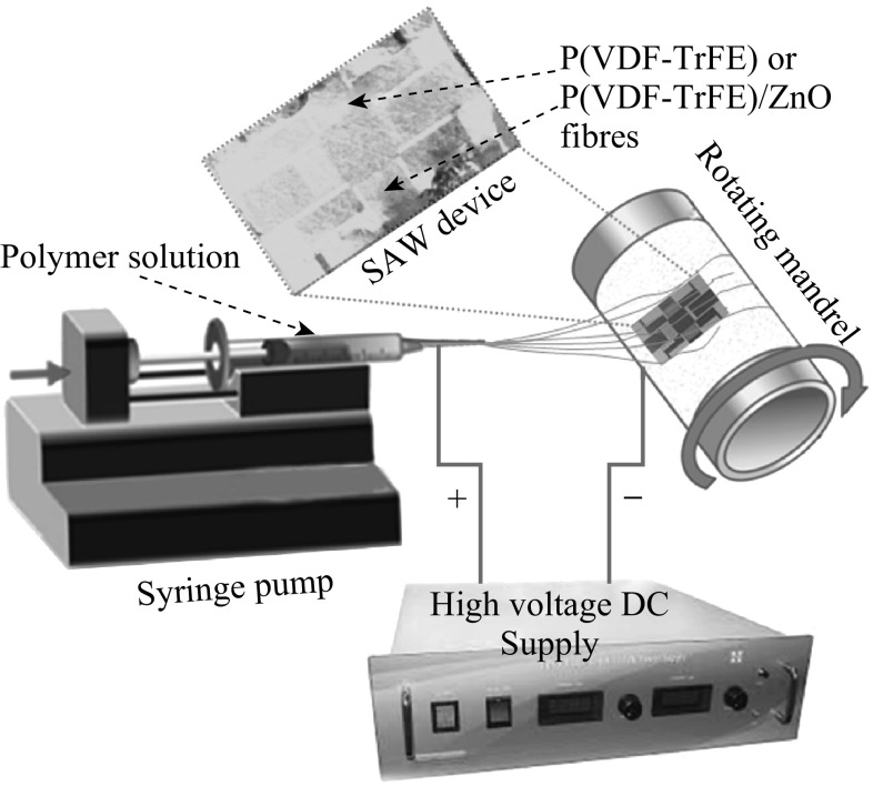 Fig. 2