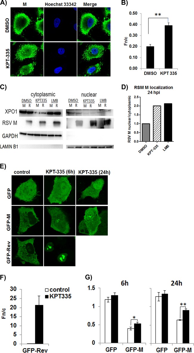 FIG 6