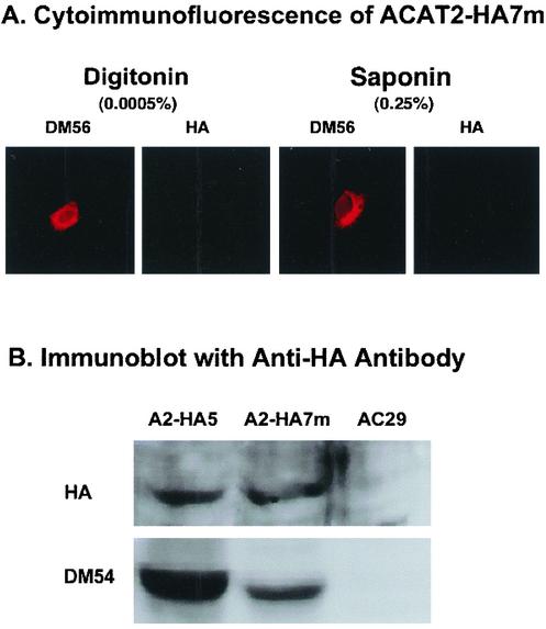 Figure 10.