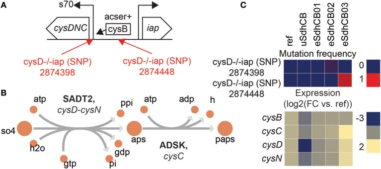 Figure 7